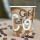 Bio Einwand-Pappbecher "Coffee" 185 ml (8 oz) 1 Stück