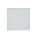 Bio Servietten aus Papier "Plain White" 1-lagig 23 cm x 23 cm 1/4-Falz 1 Stück