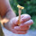 Bio Einweg-Gabel für Pommes Frites aus Holz 73 mm 1 Stück
